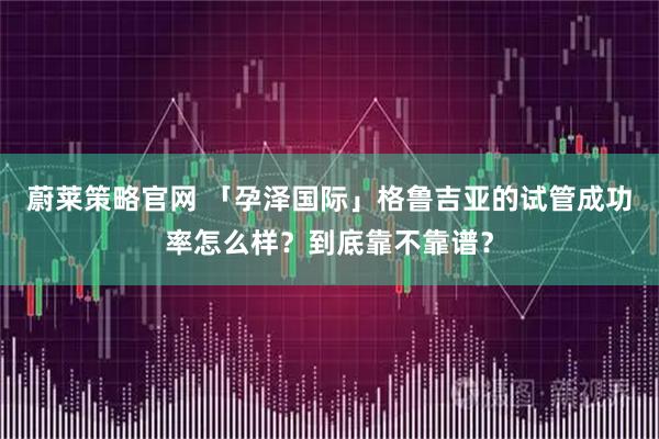 蔚莱策略官网 「孕泽国际」格鲁吉亚的试管成功率怎么样？到底靠不靠谱？