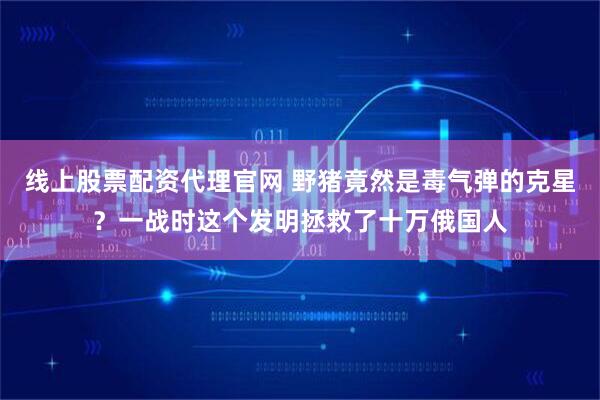 线上股票配资代理官网 野猪竟然是毒气弹的克星？一战时这个发明拯救了十万俄国人